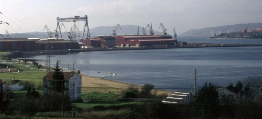 3 - copia
