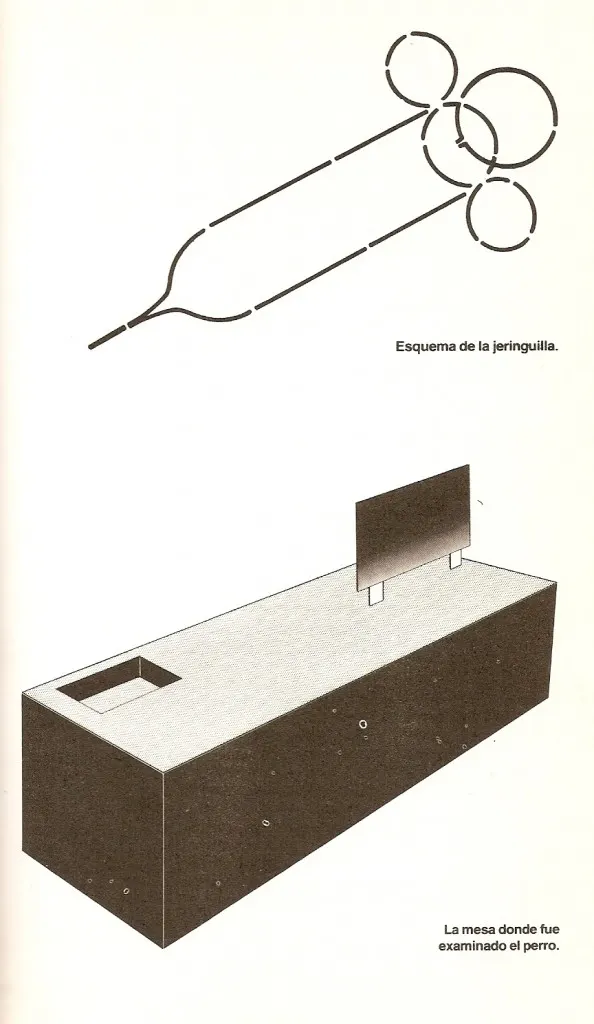 EOC 74 PORTADA