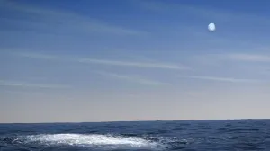 nimitz2