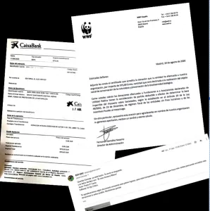donacion noticia - copia